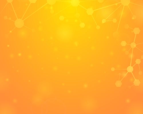 project header